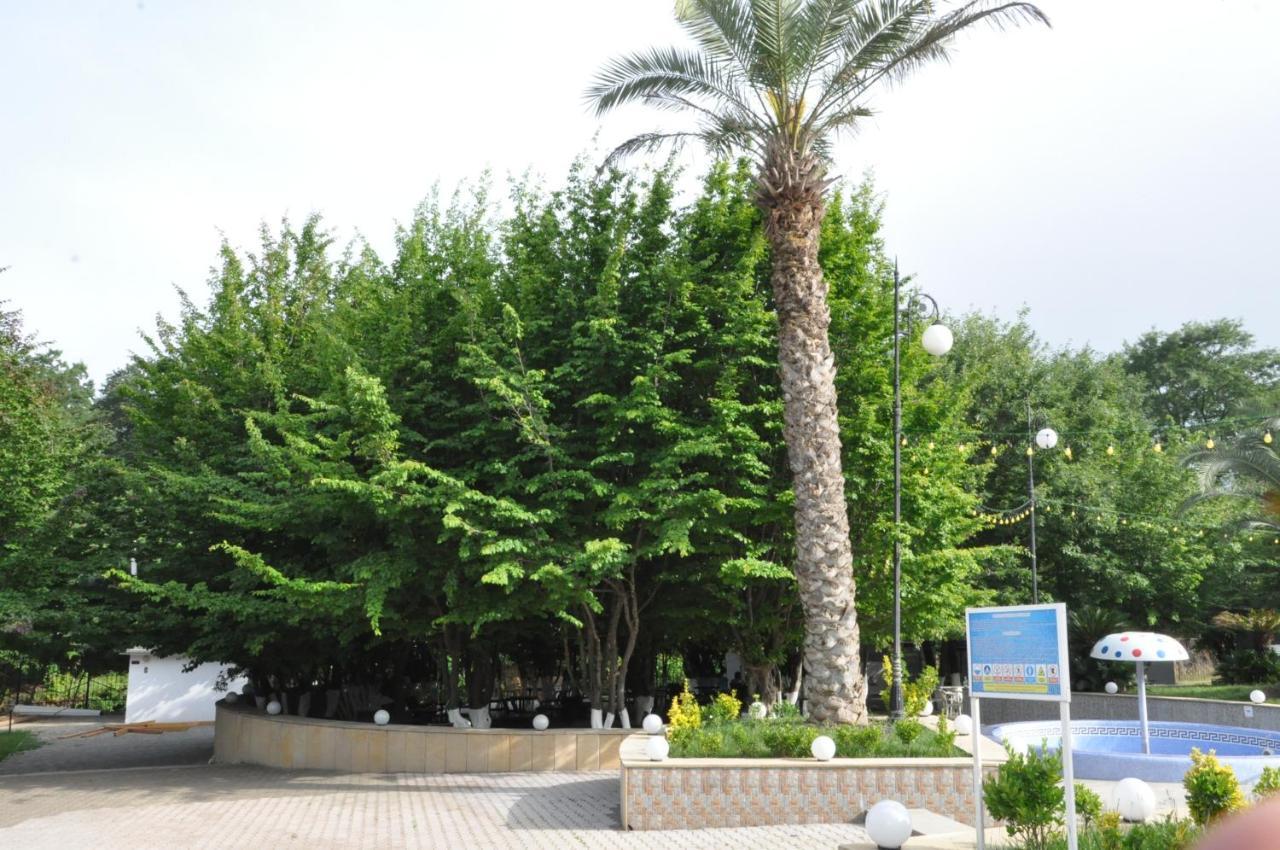 Vilesh Palace Hotel Masallı Exterior foto